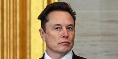 Luca Guadagnino's Upcoming Movie About OpenAI to Feature Elon Musk Character