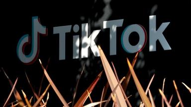 TikTok plans to start automatically labeling some AI content, including from Dall-E and Adobe's Firefly, and joins the Adobe-led content credential coalition (Financial Times)