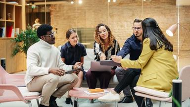 Tech industry stalling as AI takes over, with junior roles cut in half